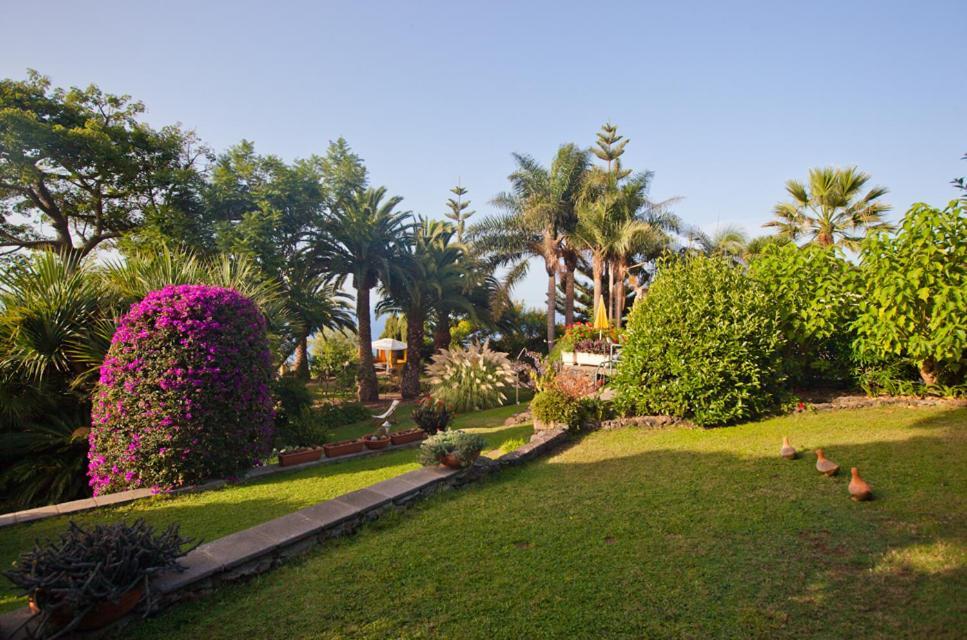 Finca Casa Vieja Hotell Santa Úrsula Eksteriør bilde